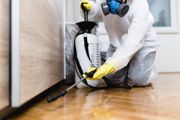 Best Local Pest Control Services  in Stormstown, PA