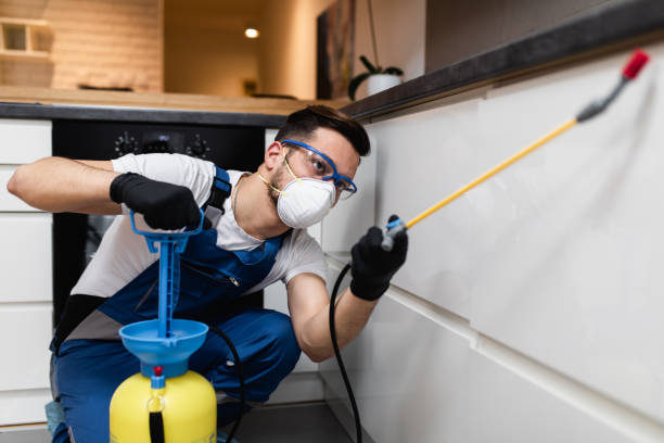 Best Mosquito Control Services  in Stormstown, PA
