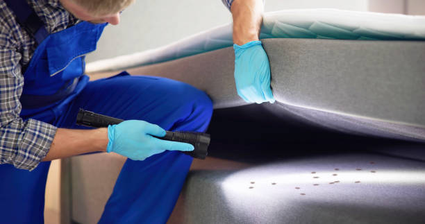 Best Pest Removal Services  in Stormstown, PA