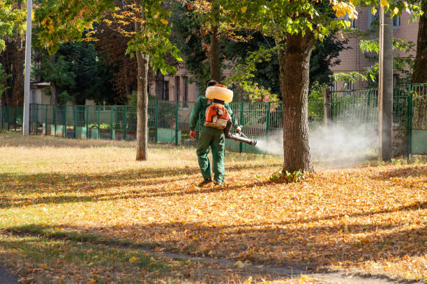 Best Pest Removal Services  in Stormstown, PA